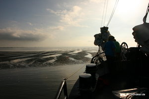 Traumhaftes Trockenfallen, abendliches Ankern, sonniges Segeln