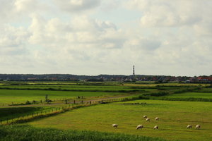 Würzburg meets Holland