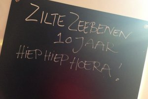 10 jaar Zeilen Zilte Zeebenen