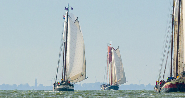 Segelurlaub Niederlande IJsselmeerküste Wattenmeer